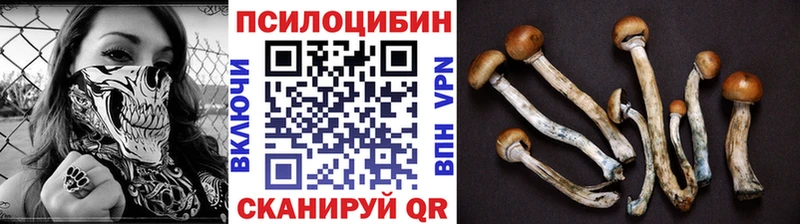 KRAKEN ССЫЛКА  Туймазы  даркнет состав  Псилоцибиновые грибы Psilocybine cubensis 