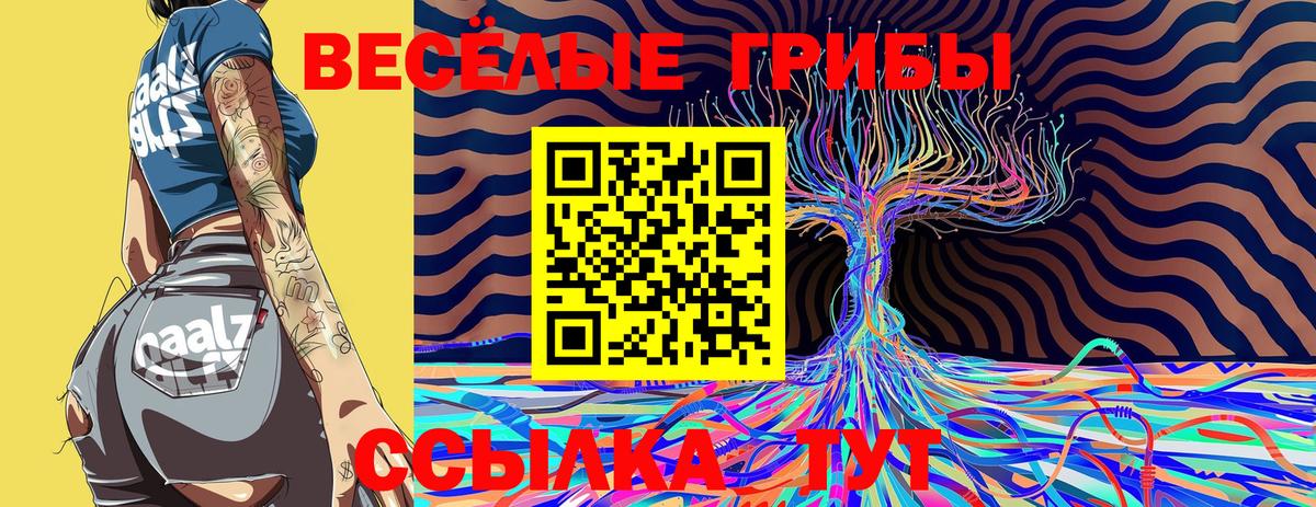 наркотики  Туймазы  Псилоцибиновые грибы Psilocybe 