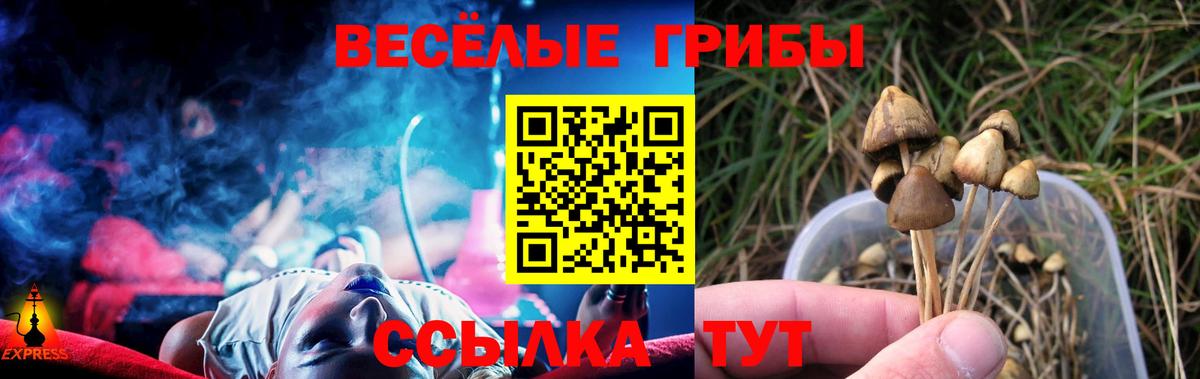 Туймазы  Галлюциногенные грибы Psilocybine cubensis  Вход с VPN  Псилоцибиновые грибы мицелий 